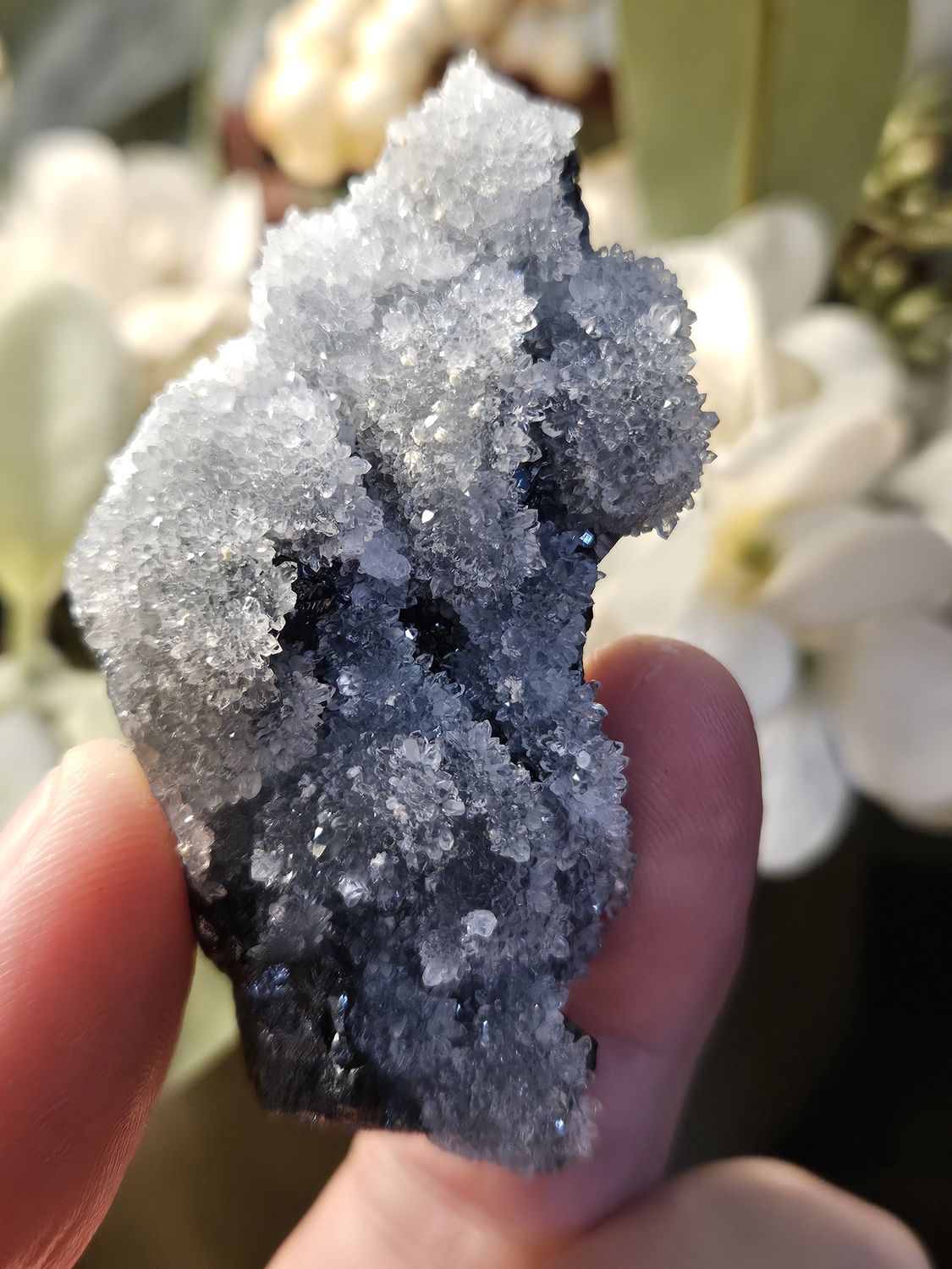 Quartz w/Sphalerite
