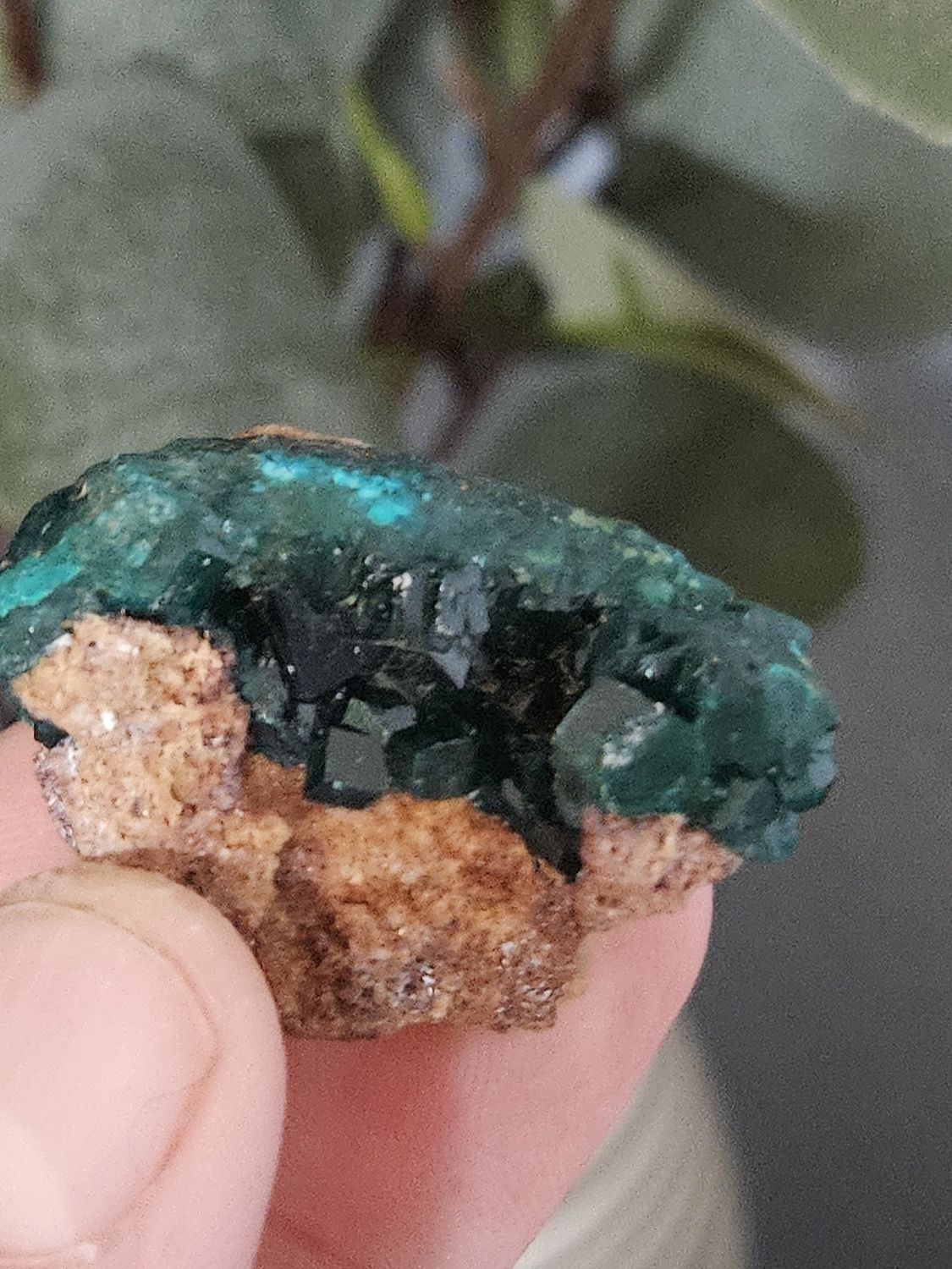 Dioptase