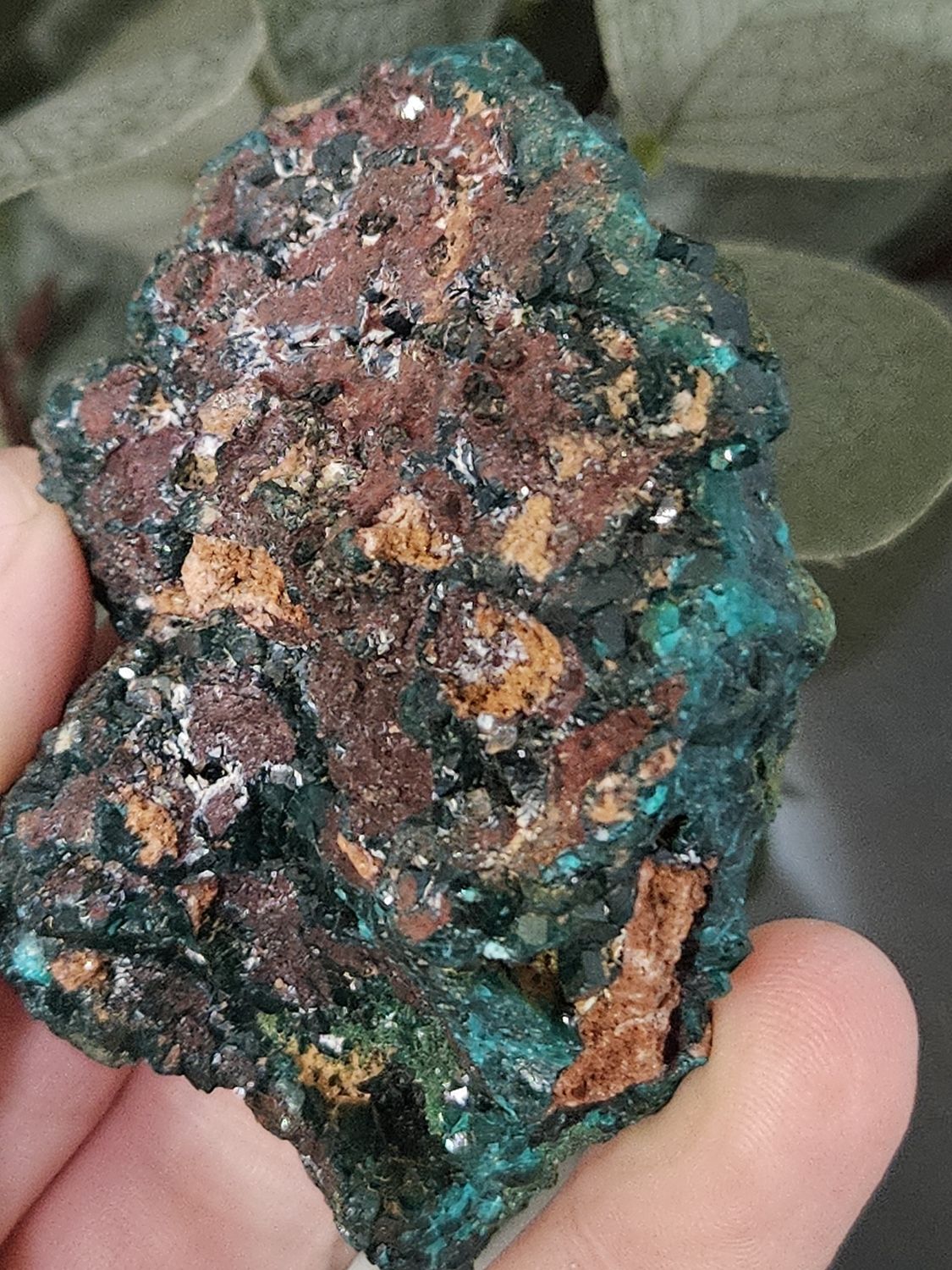 Dioptase #4