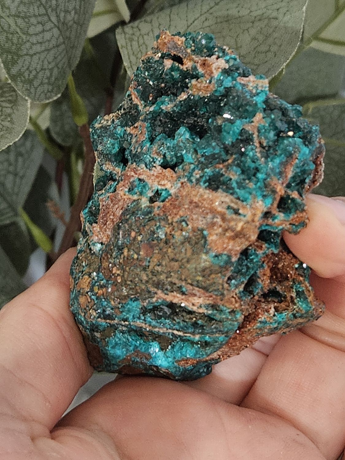 Dioptase #6