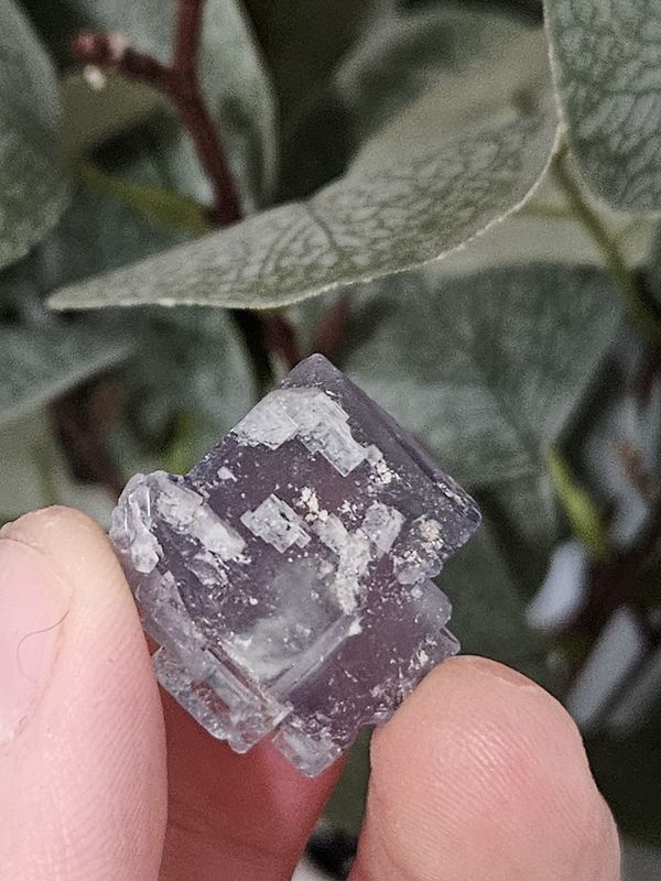 Baby Blue Fluorite