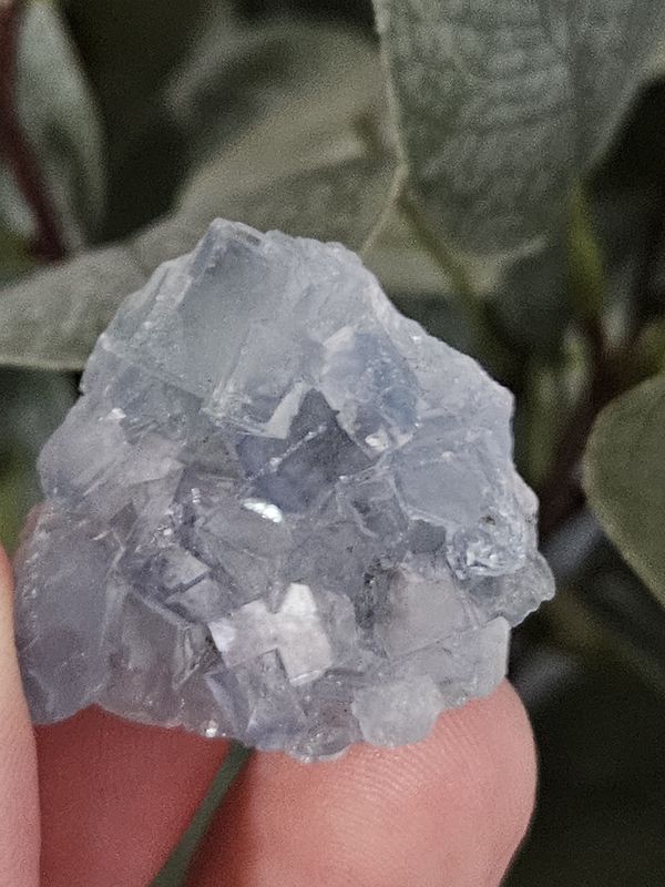 Baby Blue Fluorite #2
