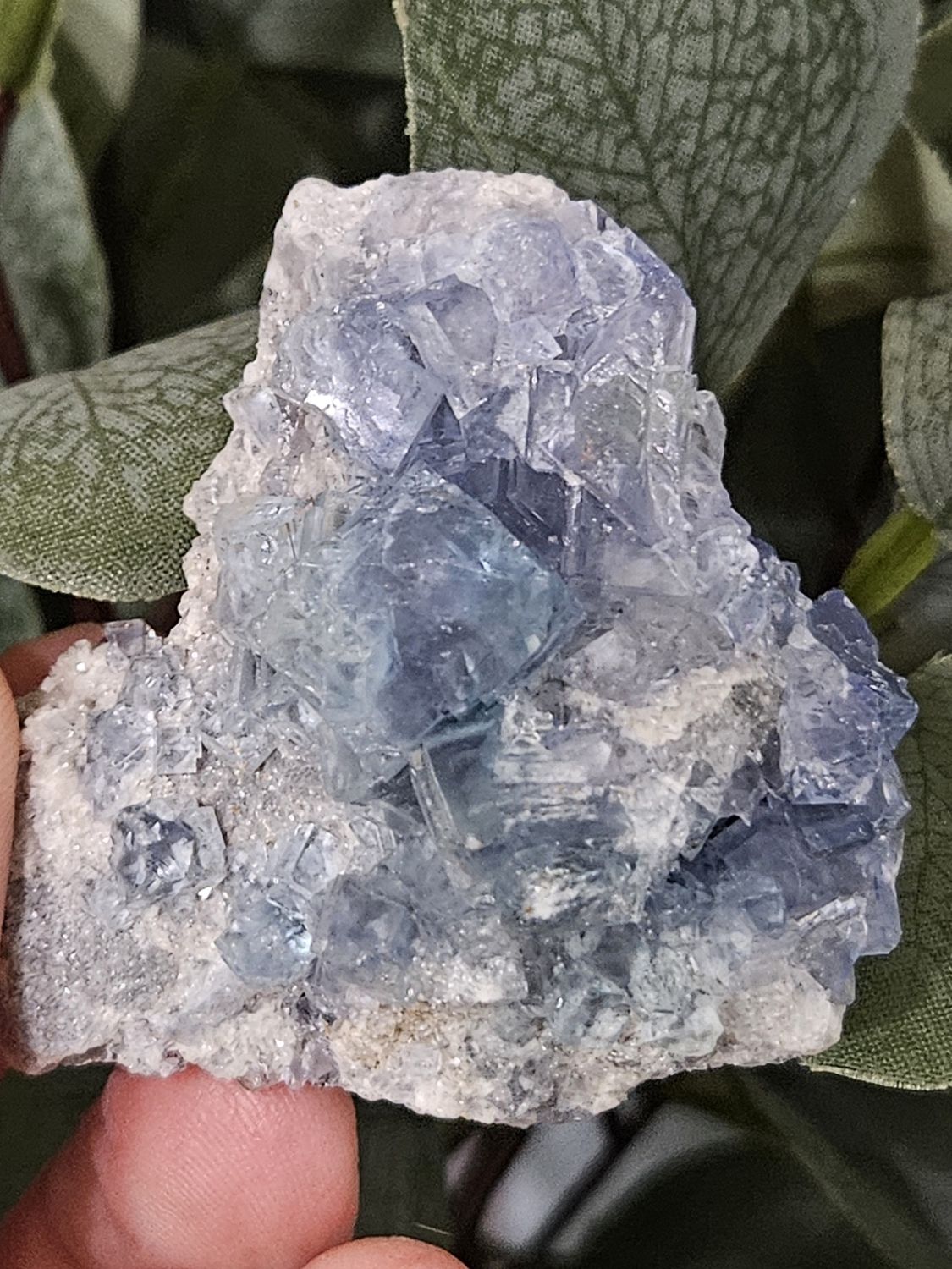 Druzy Aqua Fluorite.  Beautiful colors!
