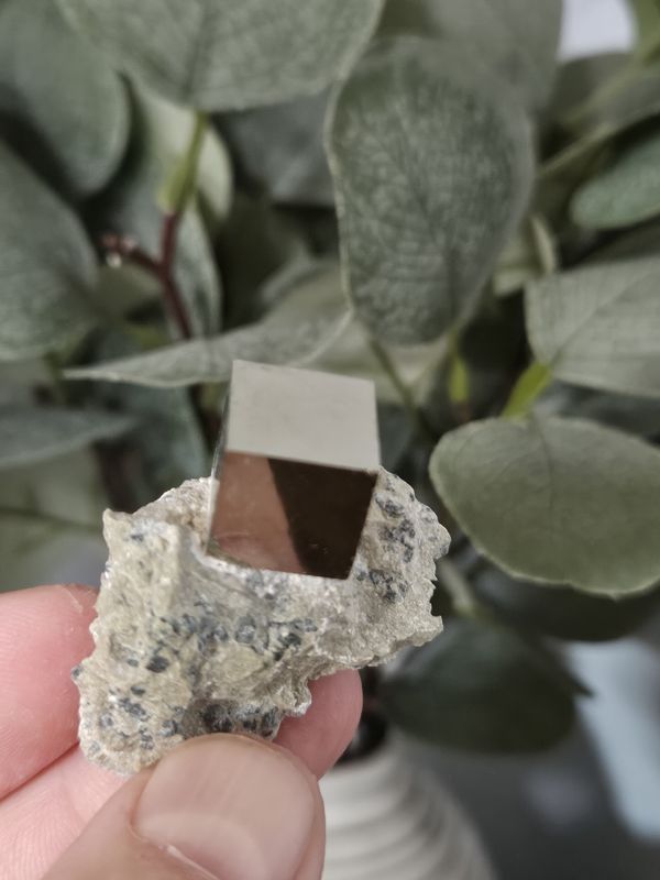 Pyrite Cube on matrix