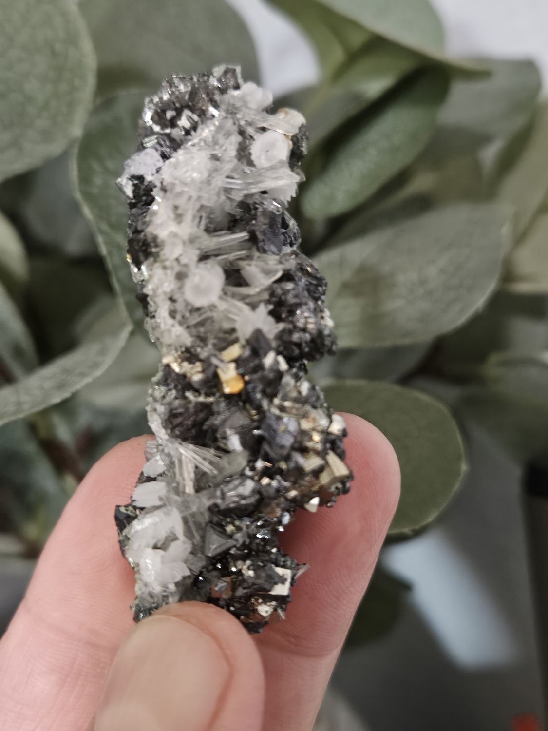 Quartz, Galena &amp; Pyrite #2