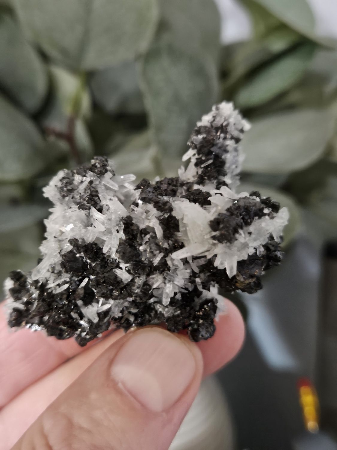 Needle Quartz
