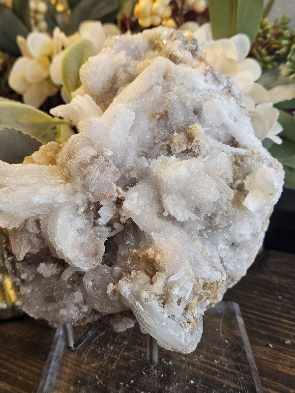 Sugar Coated Rams Horn Selenite.  Rare piece!