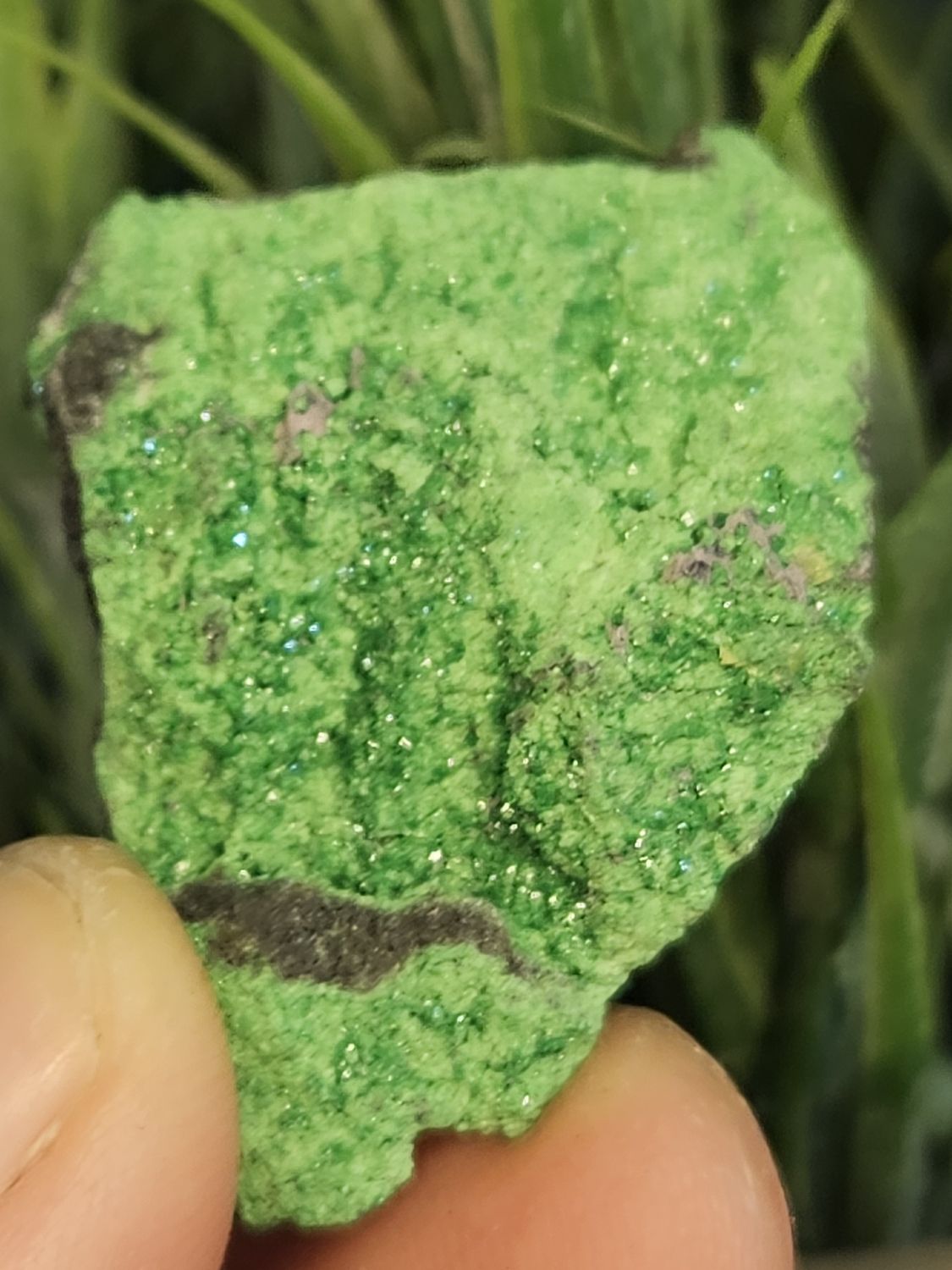 Uvaroite Garnet, from Russia