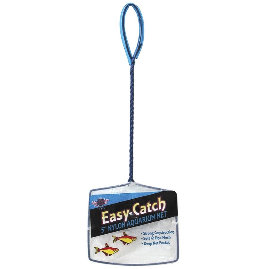 Blue Ribbon Pet Products Easy Catch Net Fine Mesh, Blue/White, 12ea/5 in