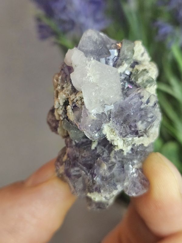 Purple Fluorite cubes