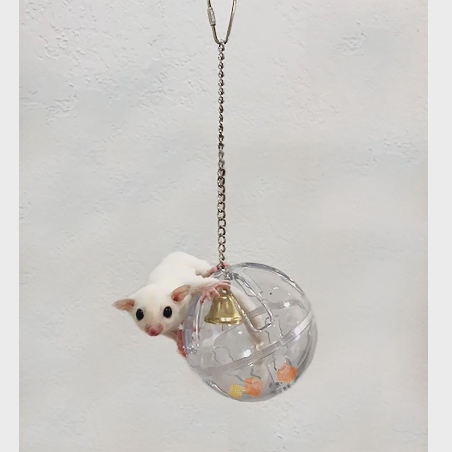 FORAGE GLOBE WITH BELL