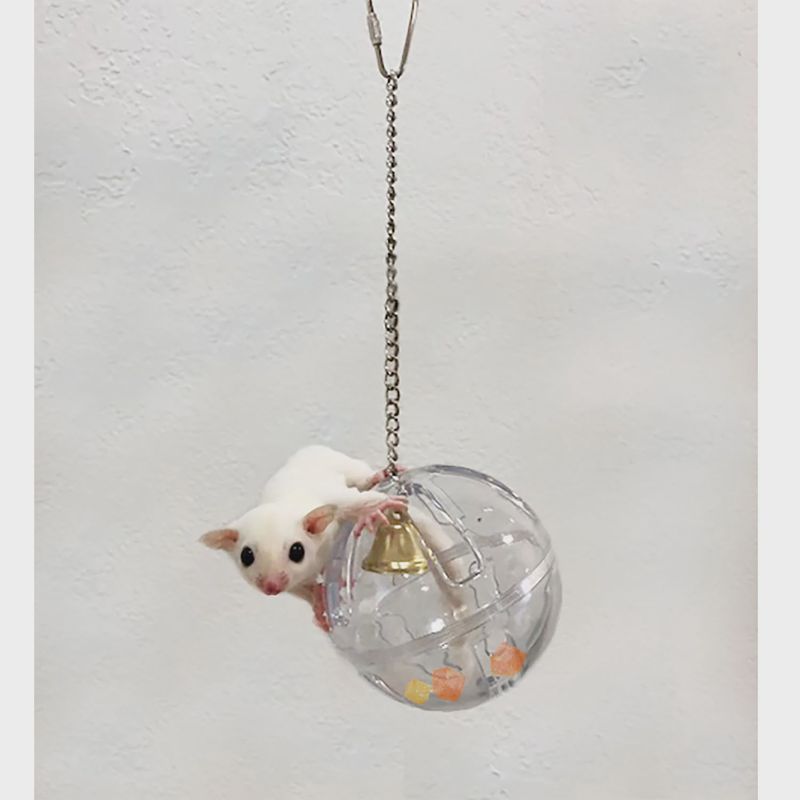 FORAGE GLOBE WITH BELL