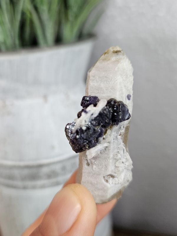 Blueberry Fluorite on Candle Quartz