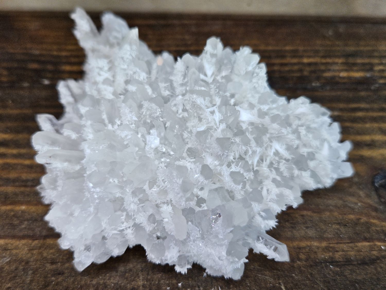 Two generation Quartz