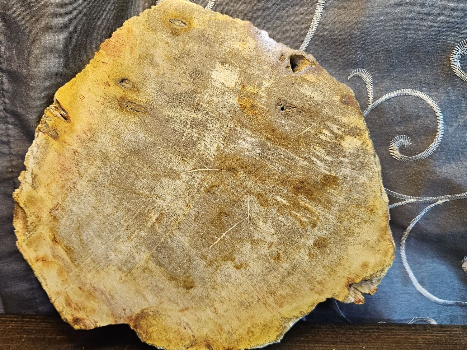 XL Petrified Wood