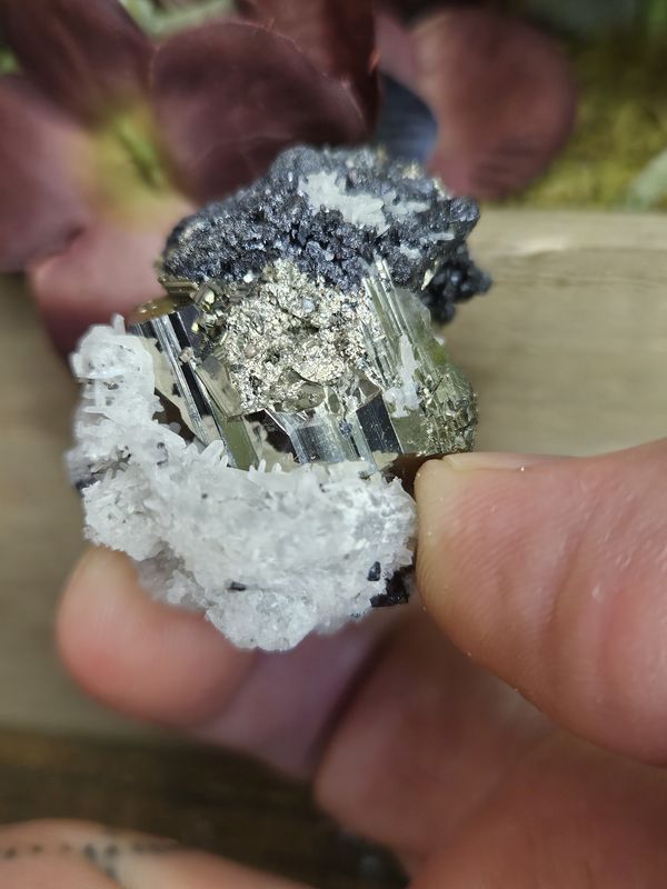 Pyrite w/Calcite &amp; Sphalerite