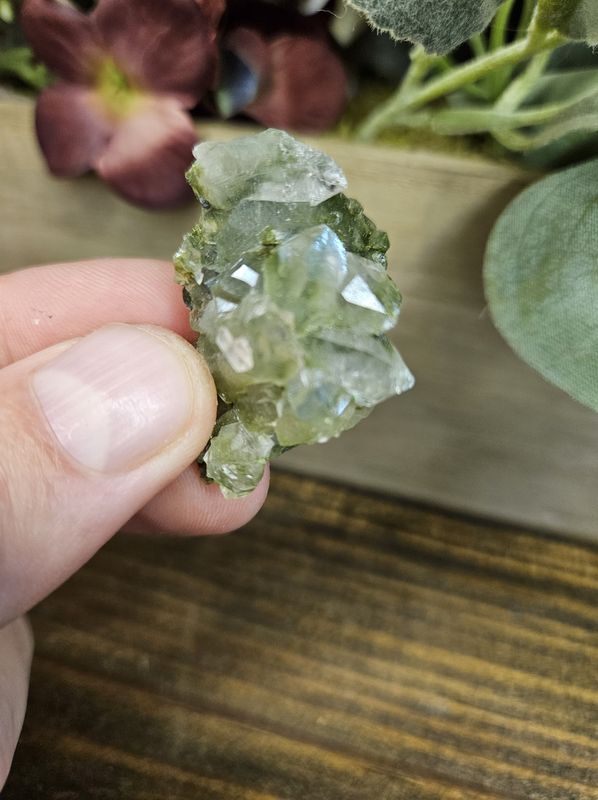 Epidote w/Quartz #12