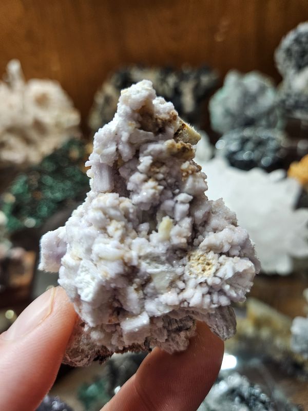 Creedite #5