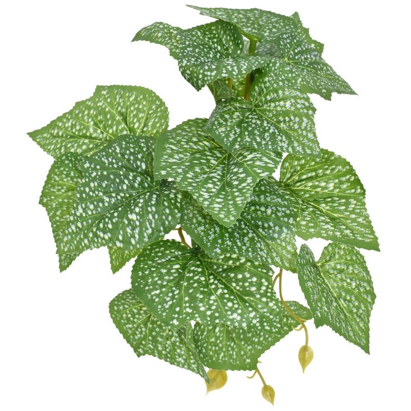Komodo Standing Spotted Pothos Plant