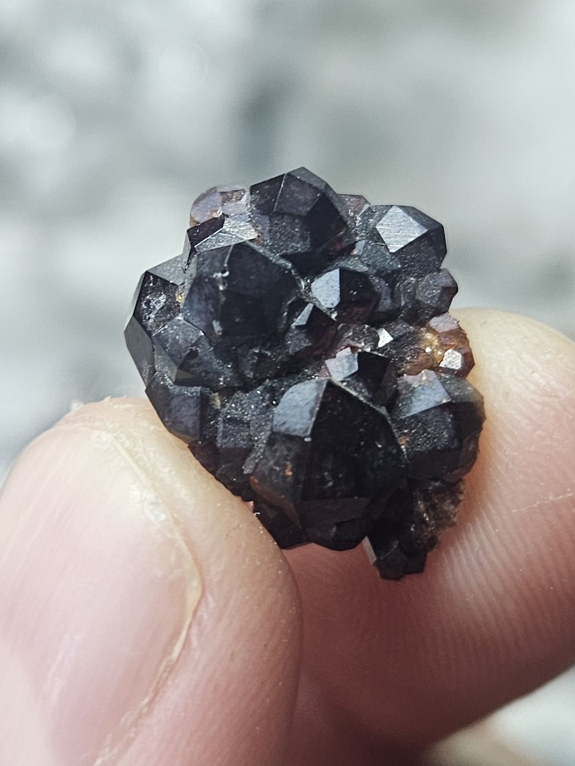 Garnet