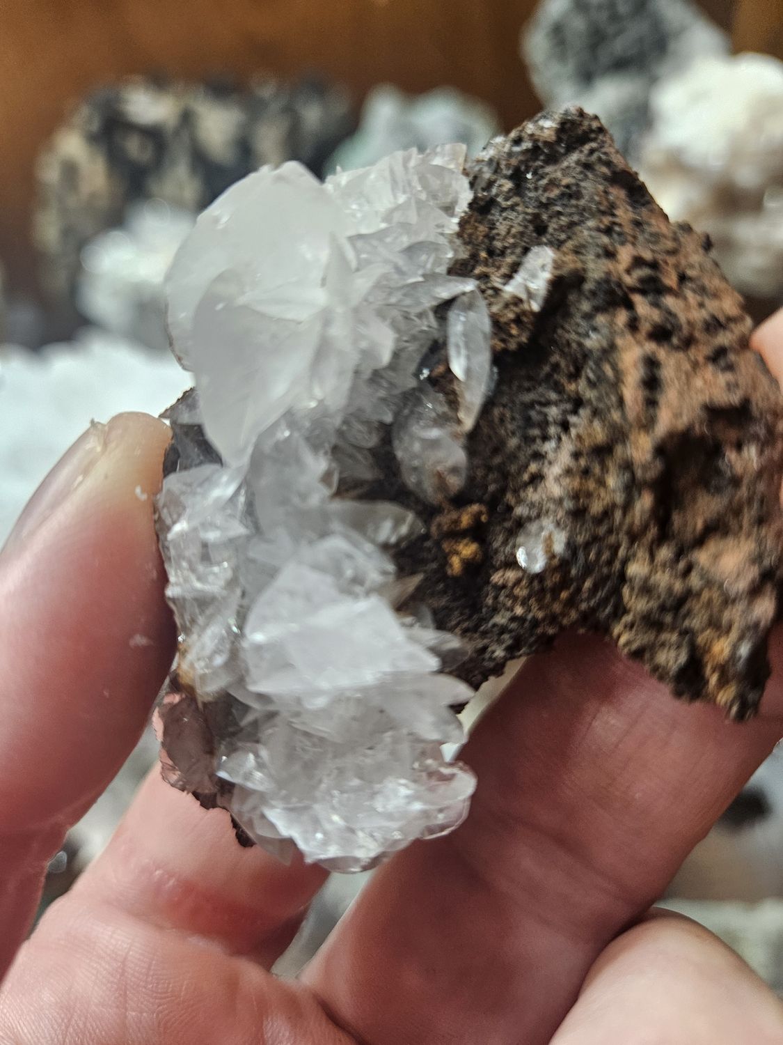 Mouse Ear Calcite