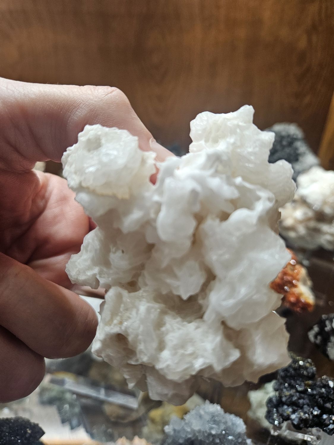 Aragonite  Speleothem #7