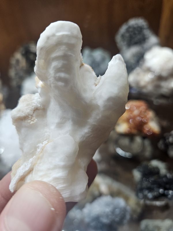 Aragonite  Speleothem #3