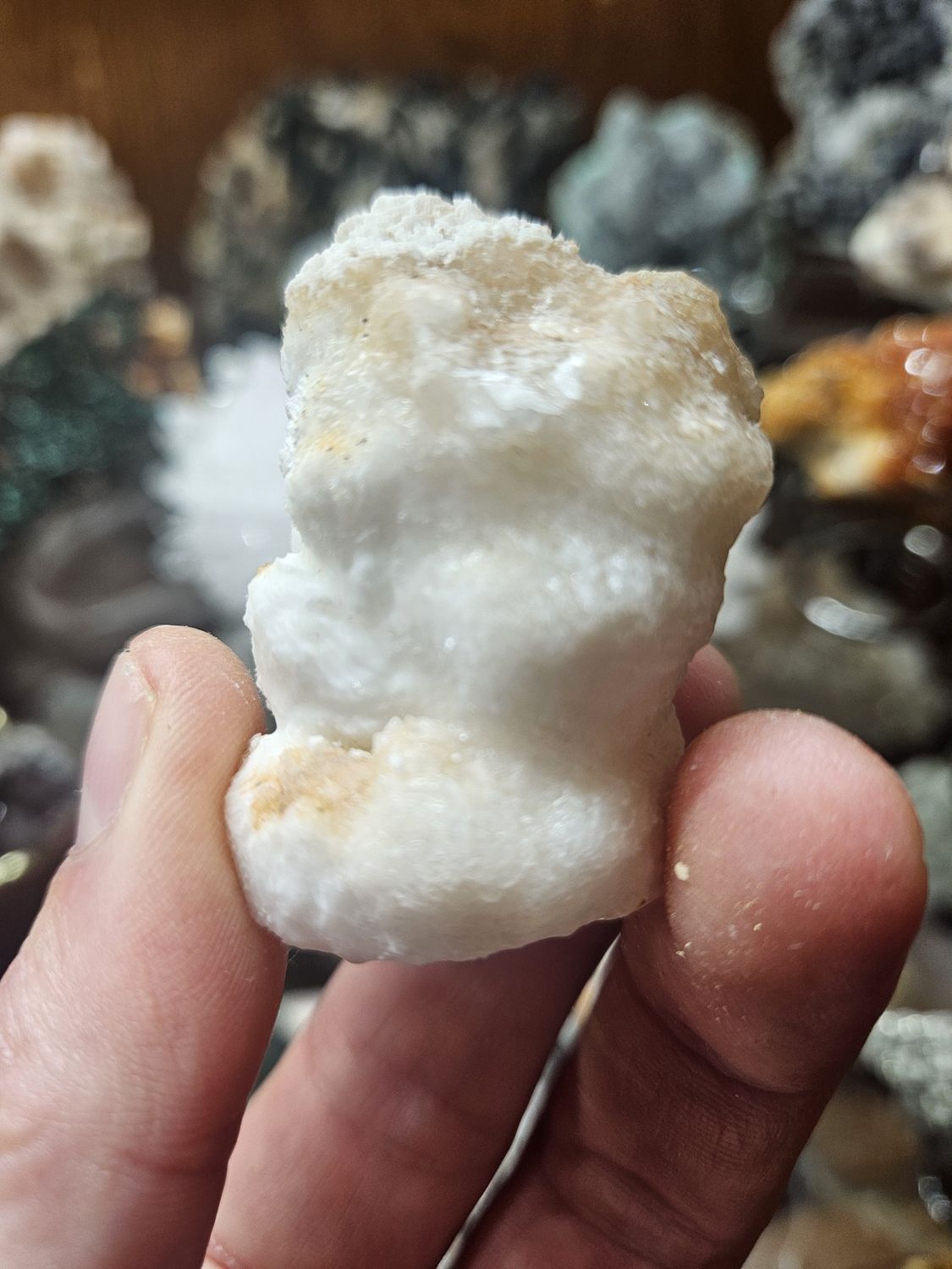 Aragonite  Speleothem #4