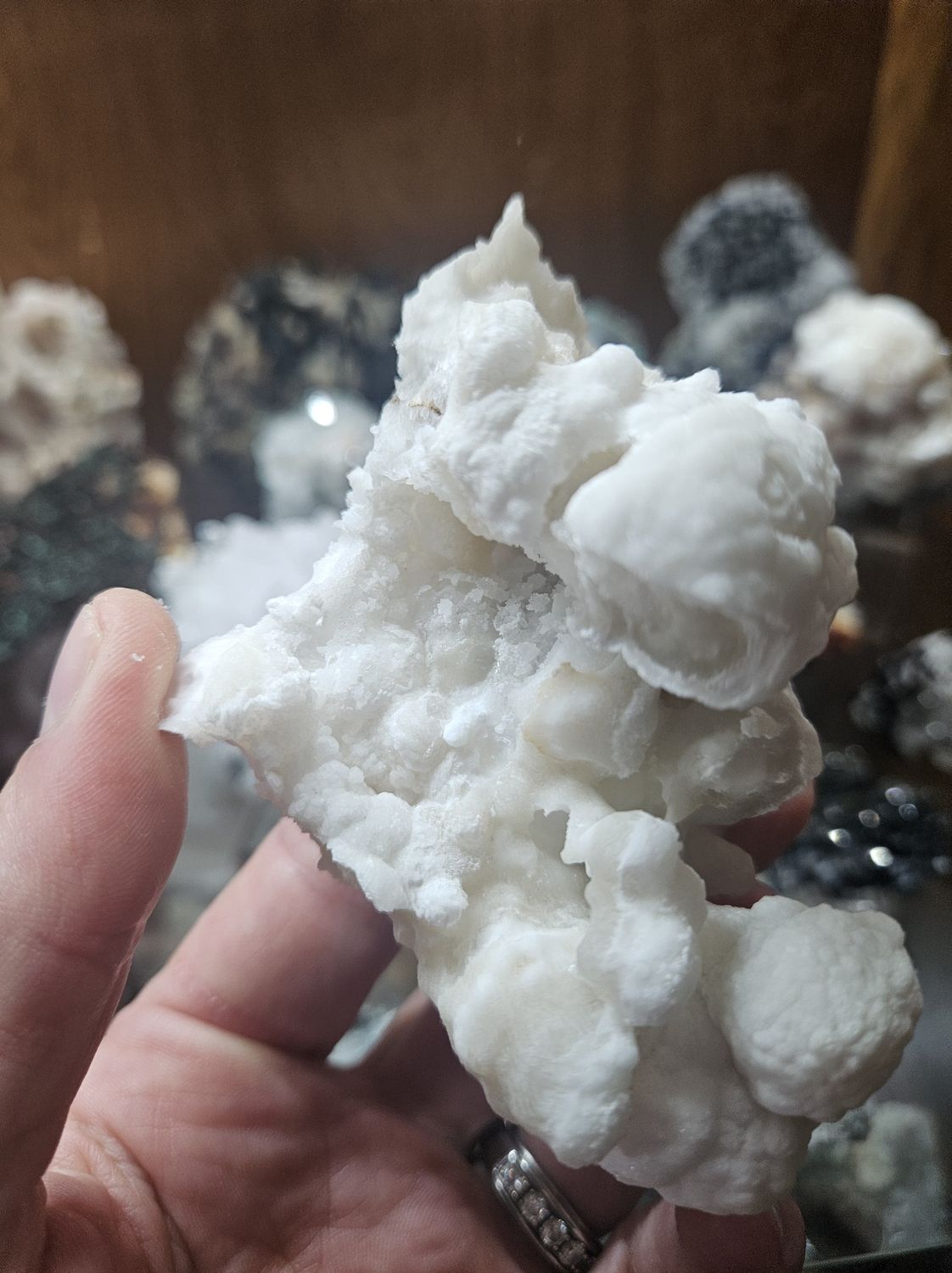 Aragonite  Speleothem #5