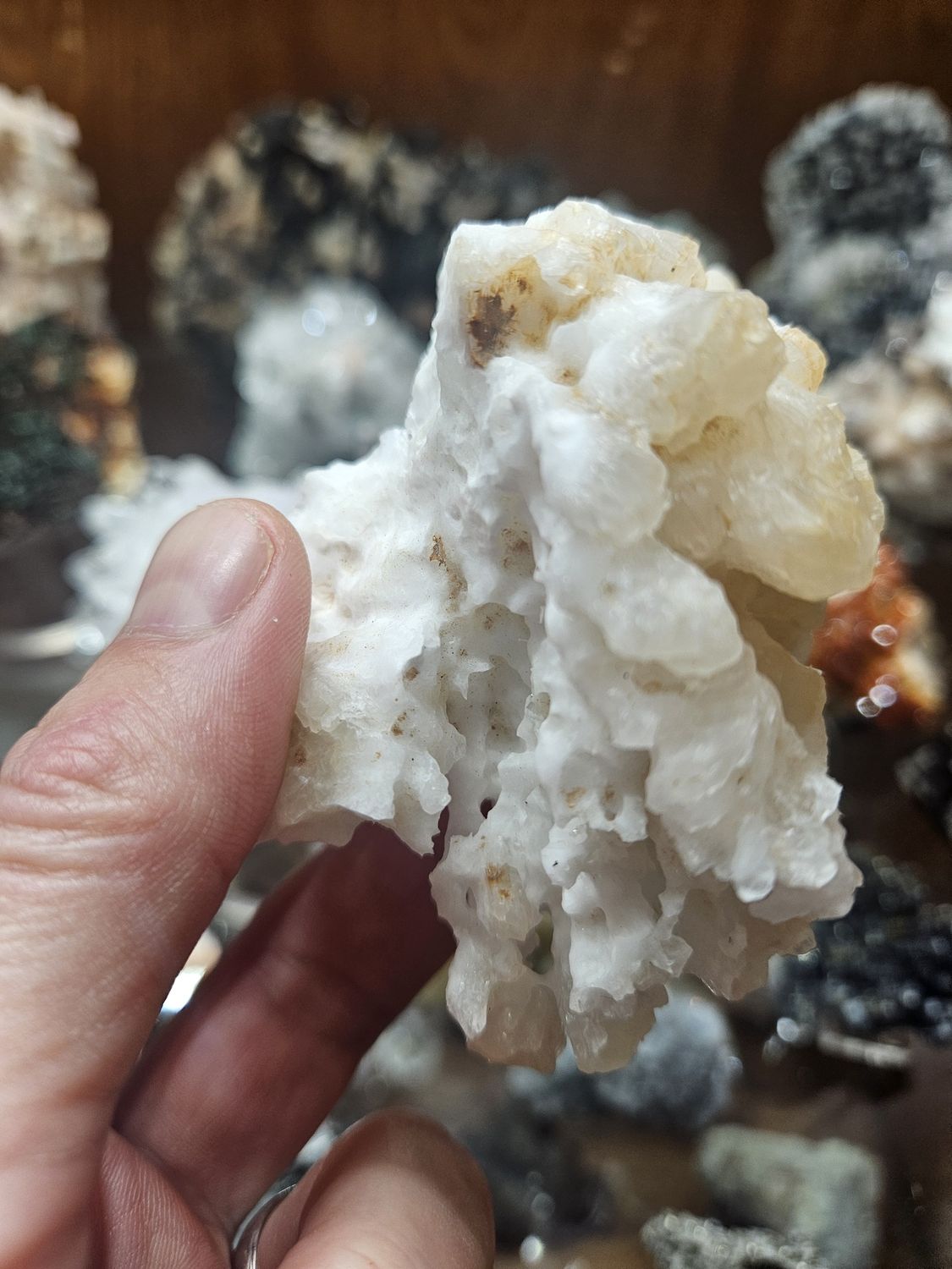 Aragonite  Speleothem #9