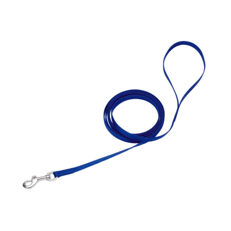 Coastal Single-Ply Nylon Dog Leash Blue, 1ea/3/8 In X 4 ft