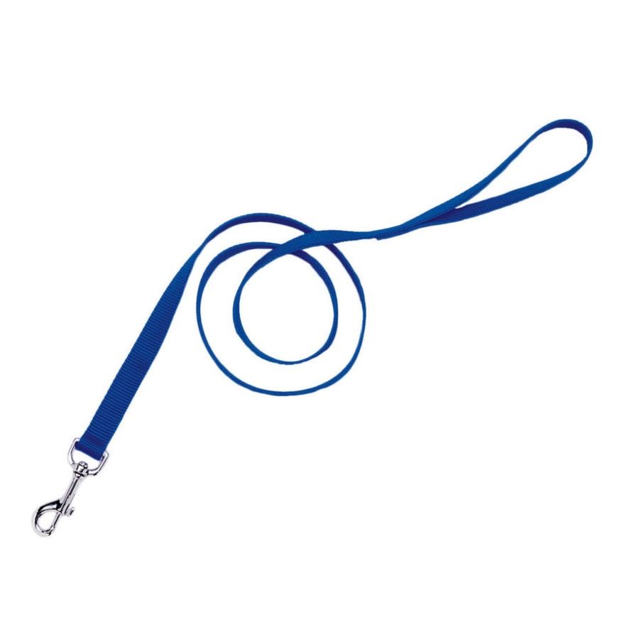 Coastal Single-Ply Nylon Dog Leash Blue, 1ea/1 In X 4 ft