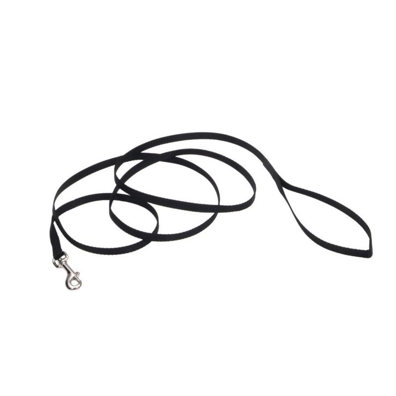 Coastal Single-Ply Nylon Dog Leash Black, 1ea/3/8 In X 4 ft