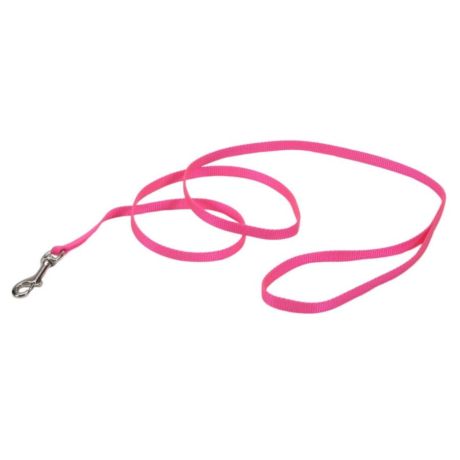 Coastal Single-Ply Nylon Dog Leash Neon Pink, 1ea/3/8 In X 4 ft