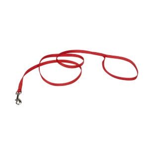 Coastal Single-Ply Nylon Dog Leash Red, 1ea/3/8 In X 4 ft