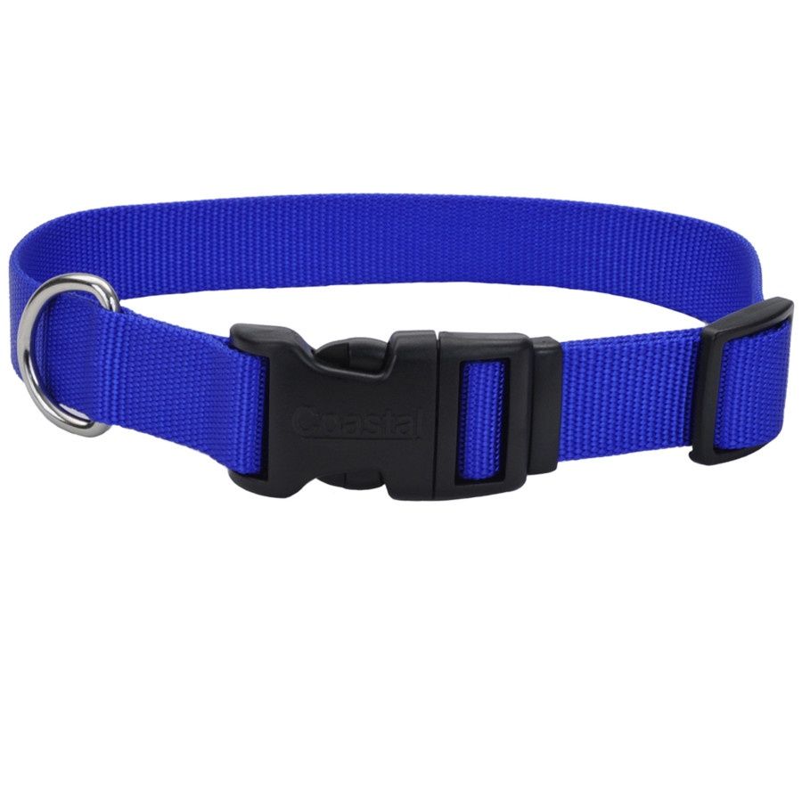 Coastal Adjustable Nylon Dog Collar with Plastic Buckle Blue, 1ea/3/4 In X 14-20 in