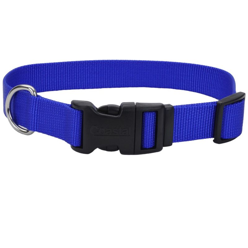 Coastal Adjustable Nylon Dog Collar with Plastic Buckle Blue, 1ea/3/4 In X 14-20 in