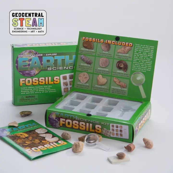 Earth Science Kit: Fossils | Learn About Fossils!
