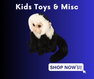 Toys &amp; Misc.