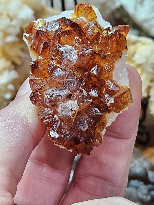 Citrine Amethyst.  Pick your favorite!