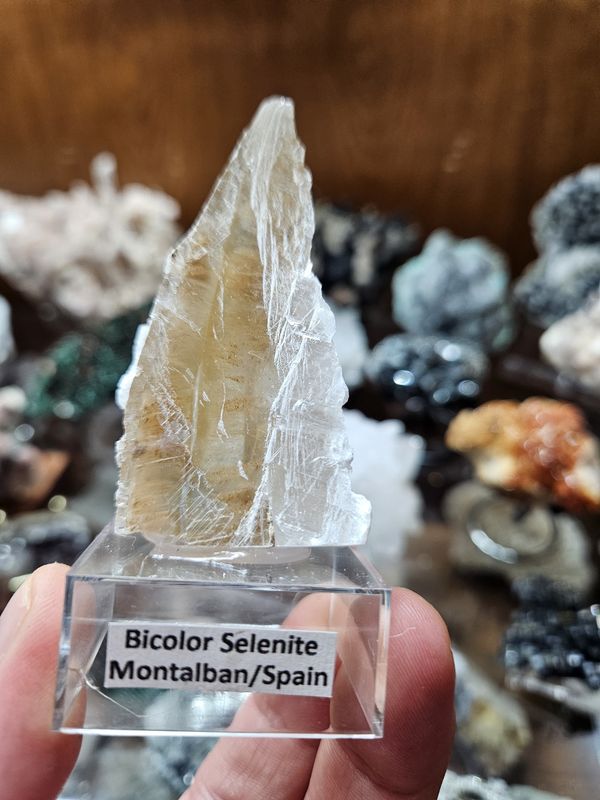 Bicolor Selenite from Spain