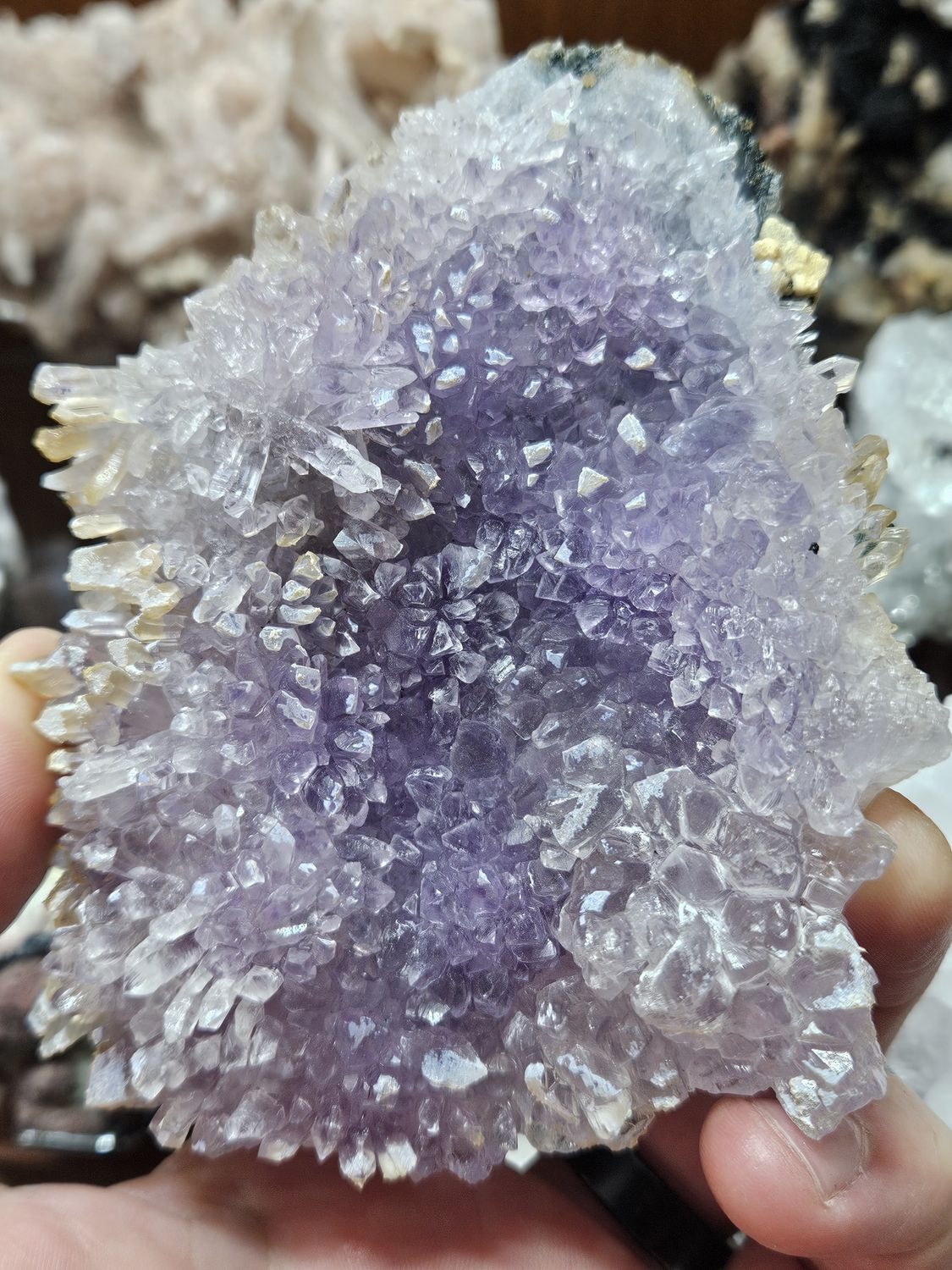 Beautiful Flower Amethyst w/stand