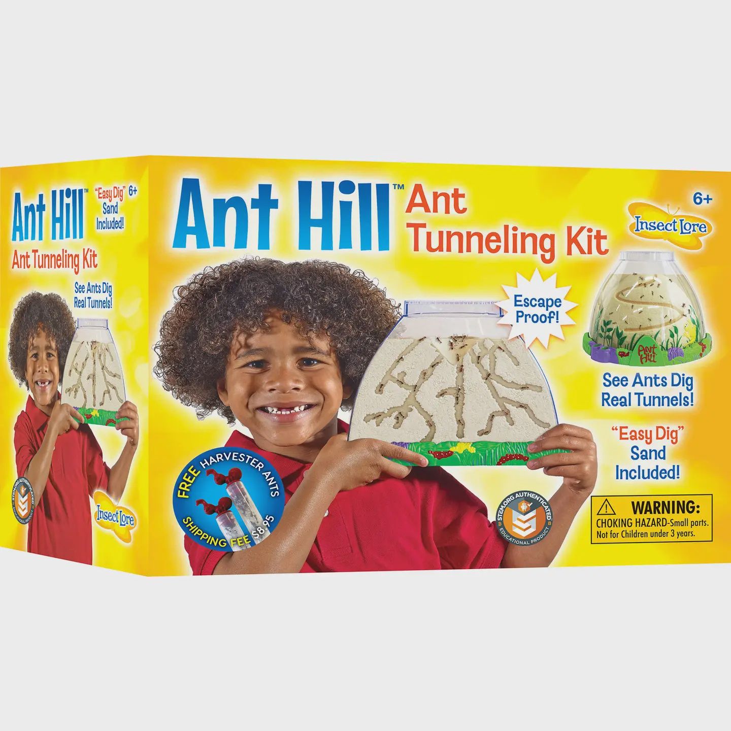 Ant Hill