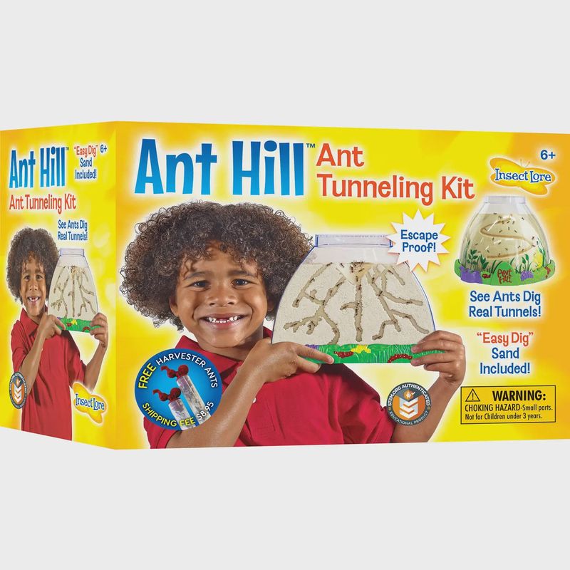 Ant Hill