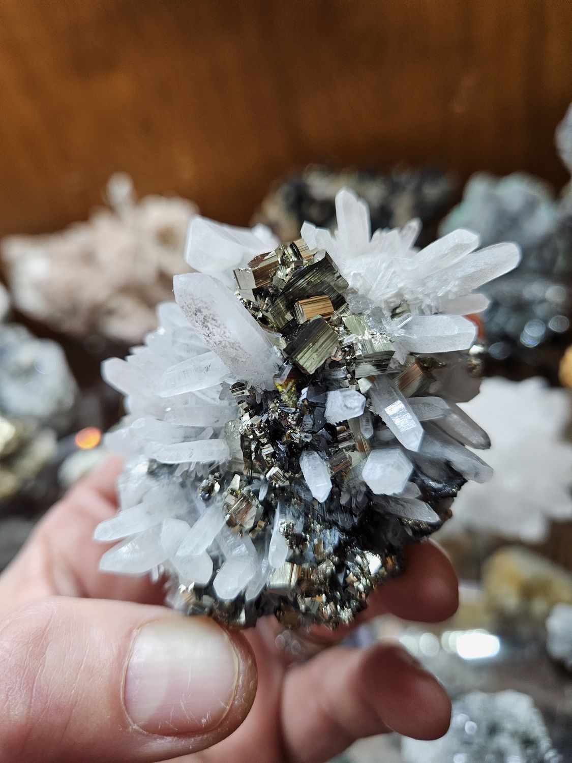 Quartz w/Pyrite &amp; Sphalerite.  Beautiful piece!