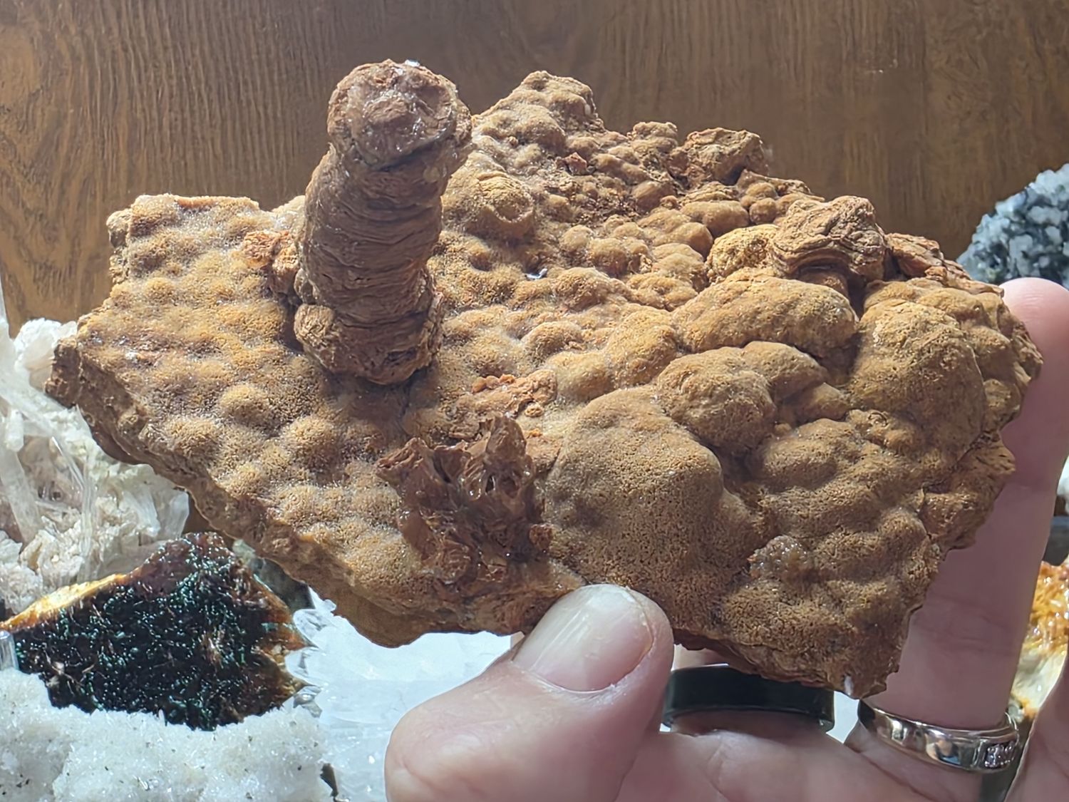 Aragonite Travertine Stalactite