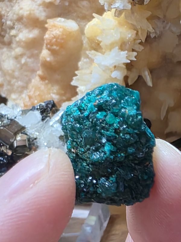 Dioptase from Congo.  3 pieces on acrylic display base!