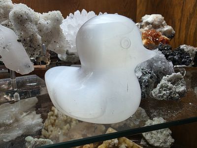 Selenite Duck