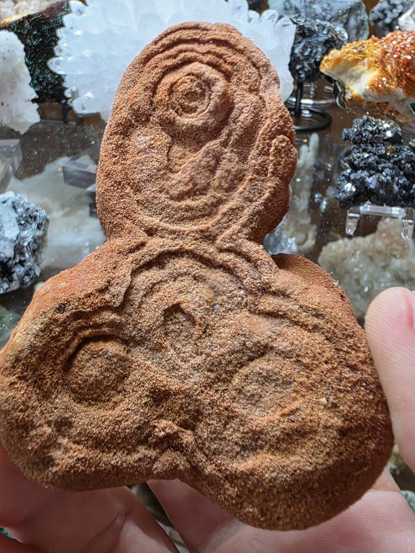 Stromatolite Fossil #2