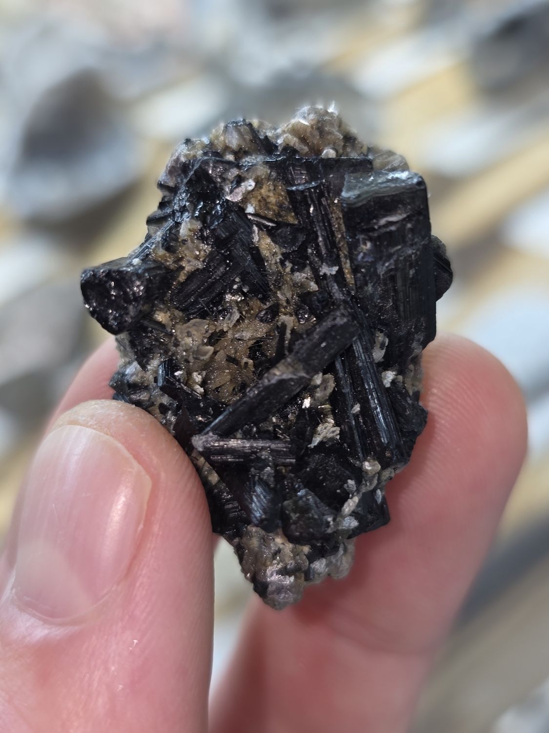 Black Tourmaline Cluster